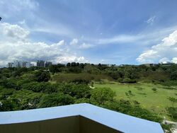 Westcove Condominium (D5), Condominium #483578031